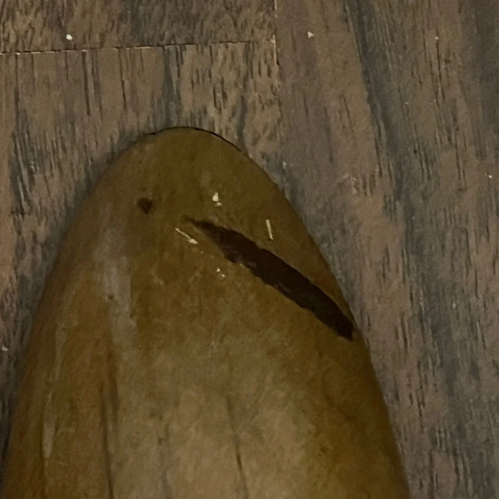 Wooden-like Fork and Spoon Set